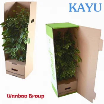 Оптовая продажа, Китай, изготовленная на заказ бумажная картонная упаковка для растений 